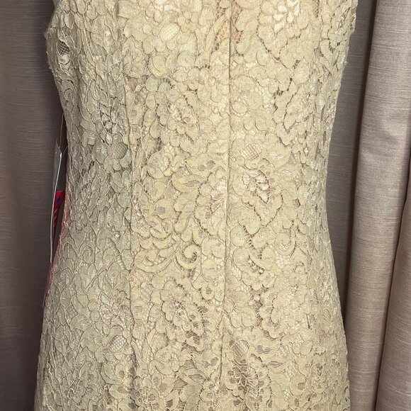 J S Collections 12 Formal Beige Lace Feminine Maxi Resort Wedding Event $248 - Picture 15 of 16